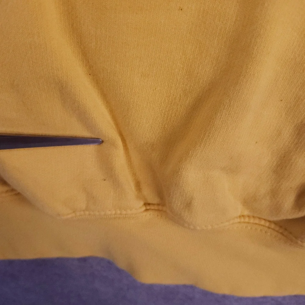 Yours Truly Yellow Phora I Think I Love You Rose Graphic Hoodie Men L Rare‎ Flaw